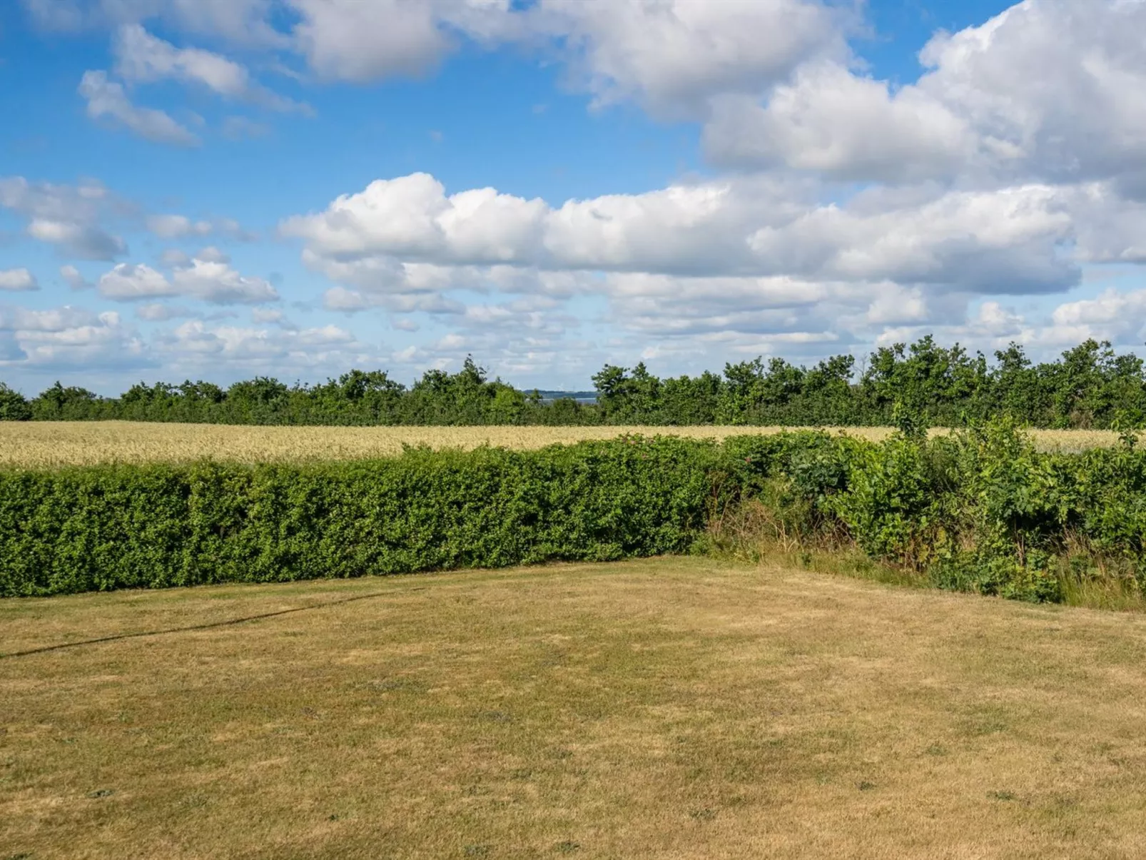 "Anselma" - 800m to the fjord