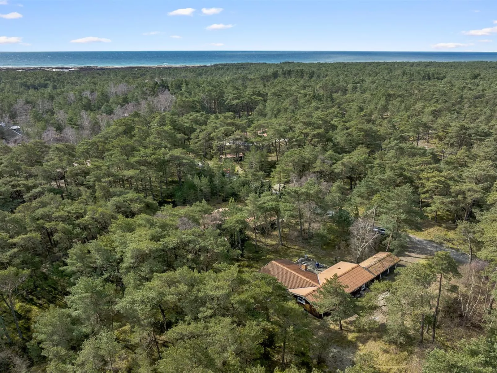 "Gaja" - 1km from the sea