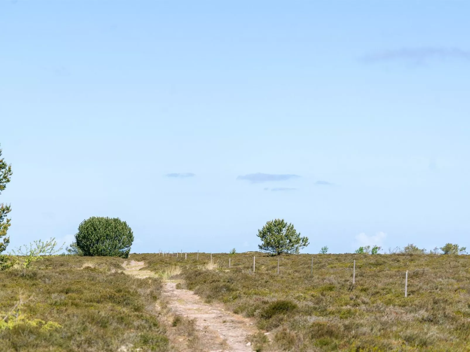 "Hrefna" - 350m from the sea