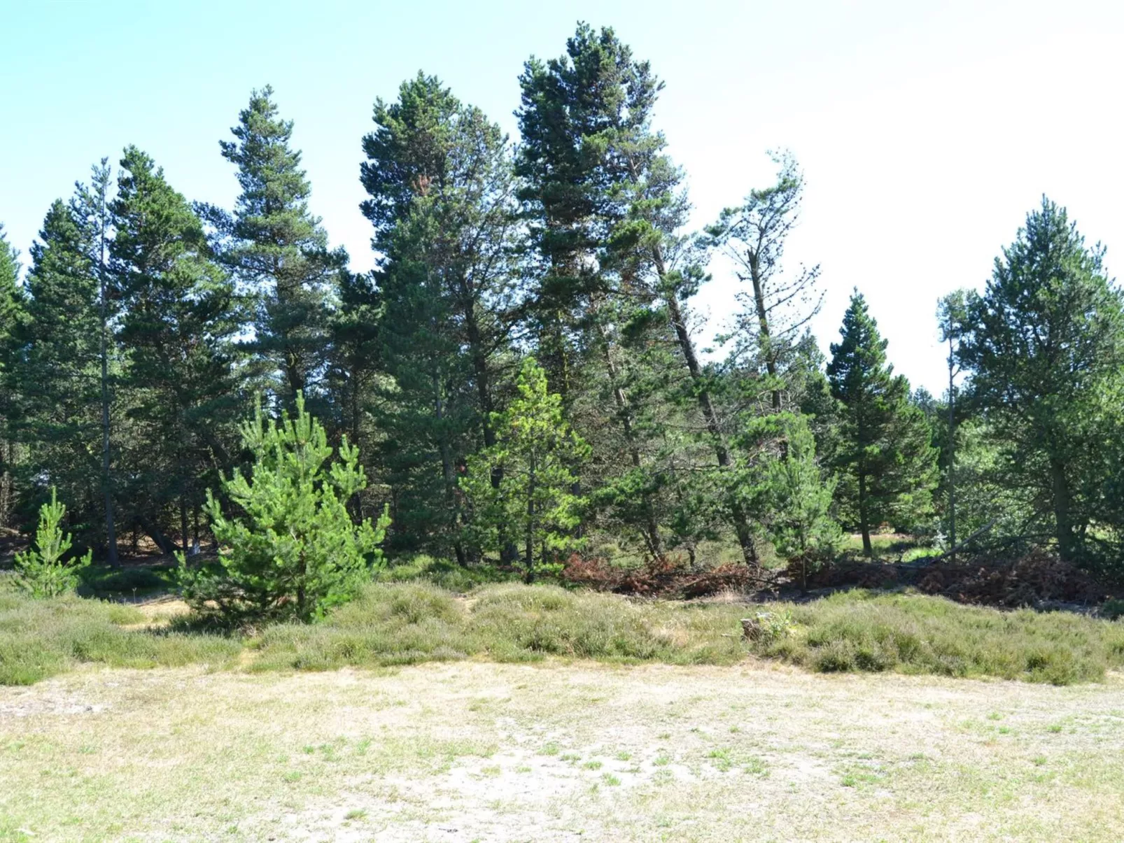 "Tirsa" - 3.9km from the sea