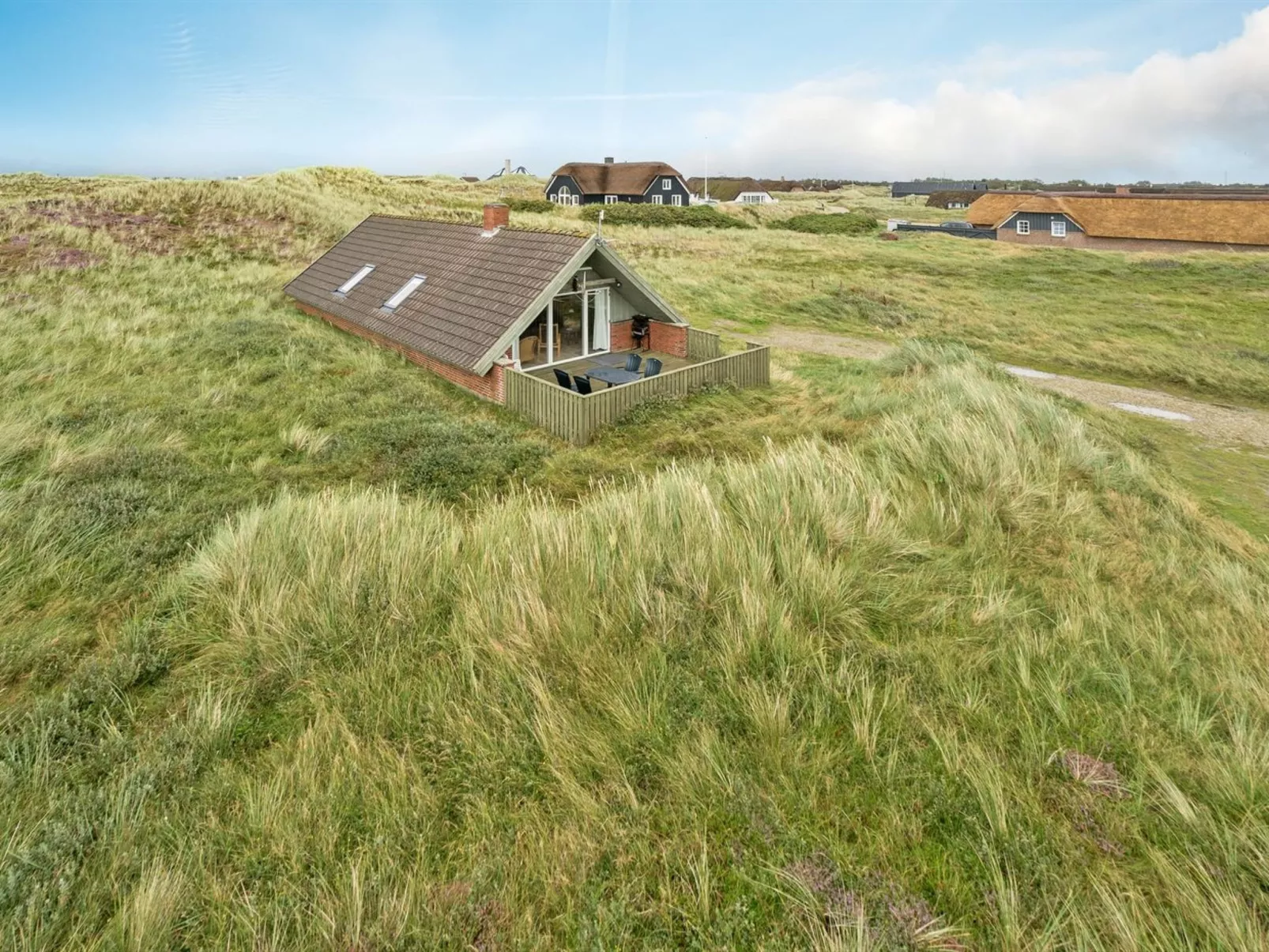 "Felina" -  from the sea