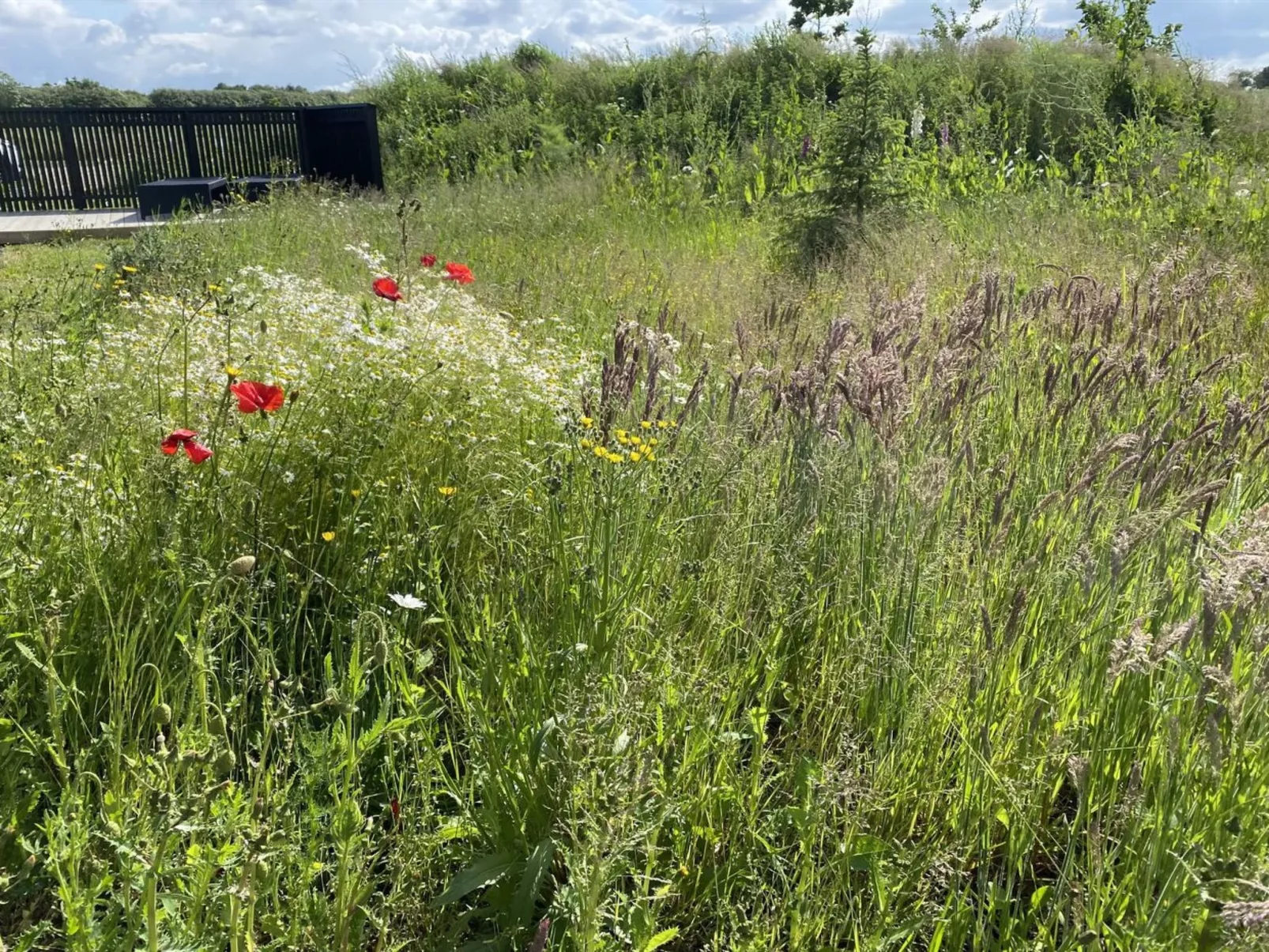 "Anelle" - 500m from the sea