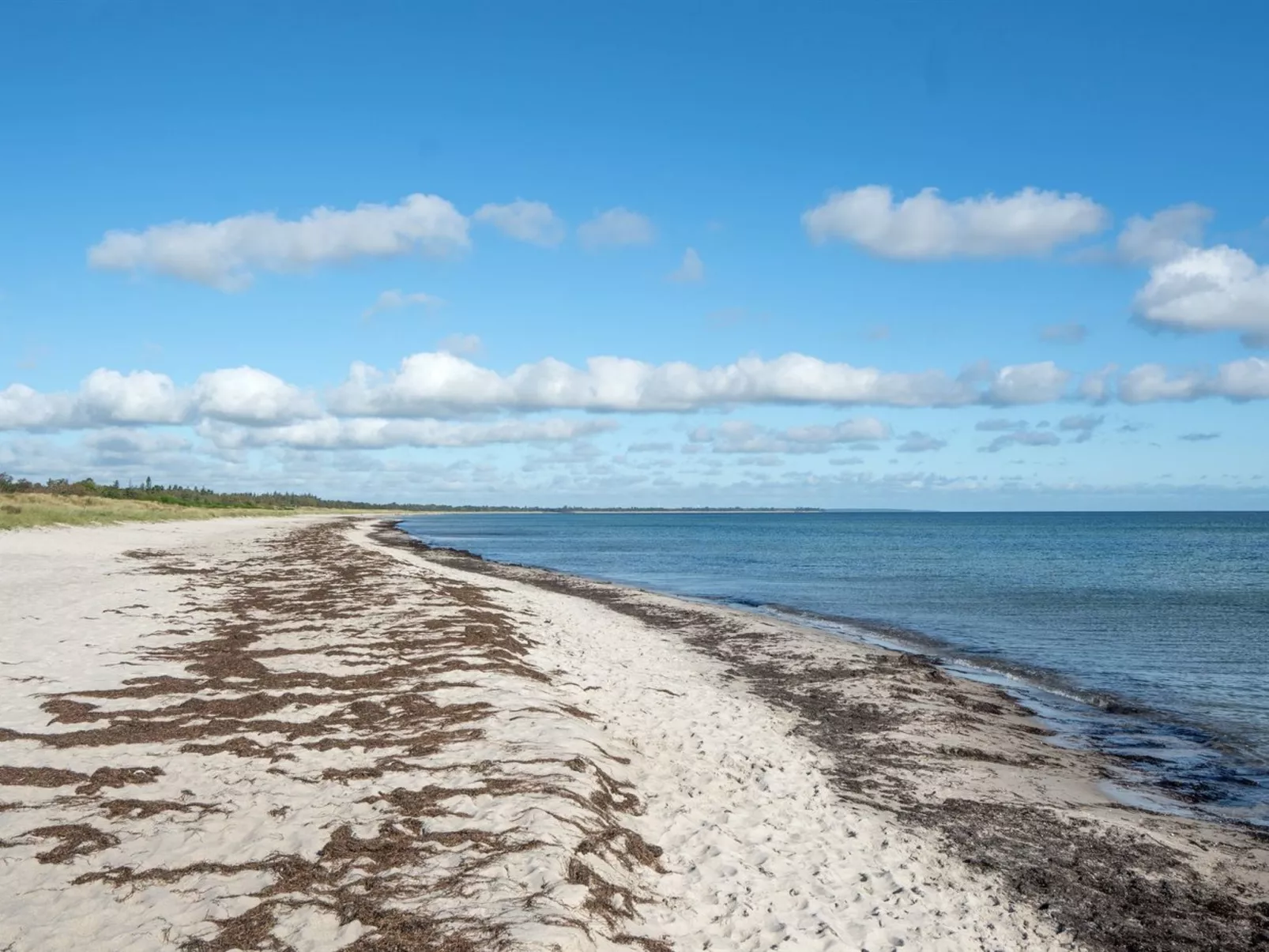 "Bergit" - 55m from the sea