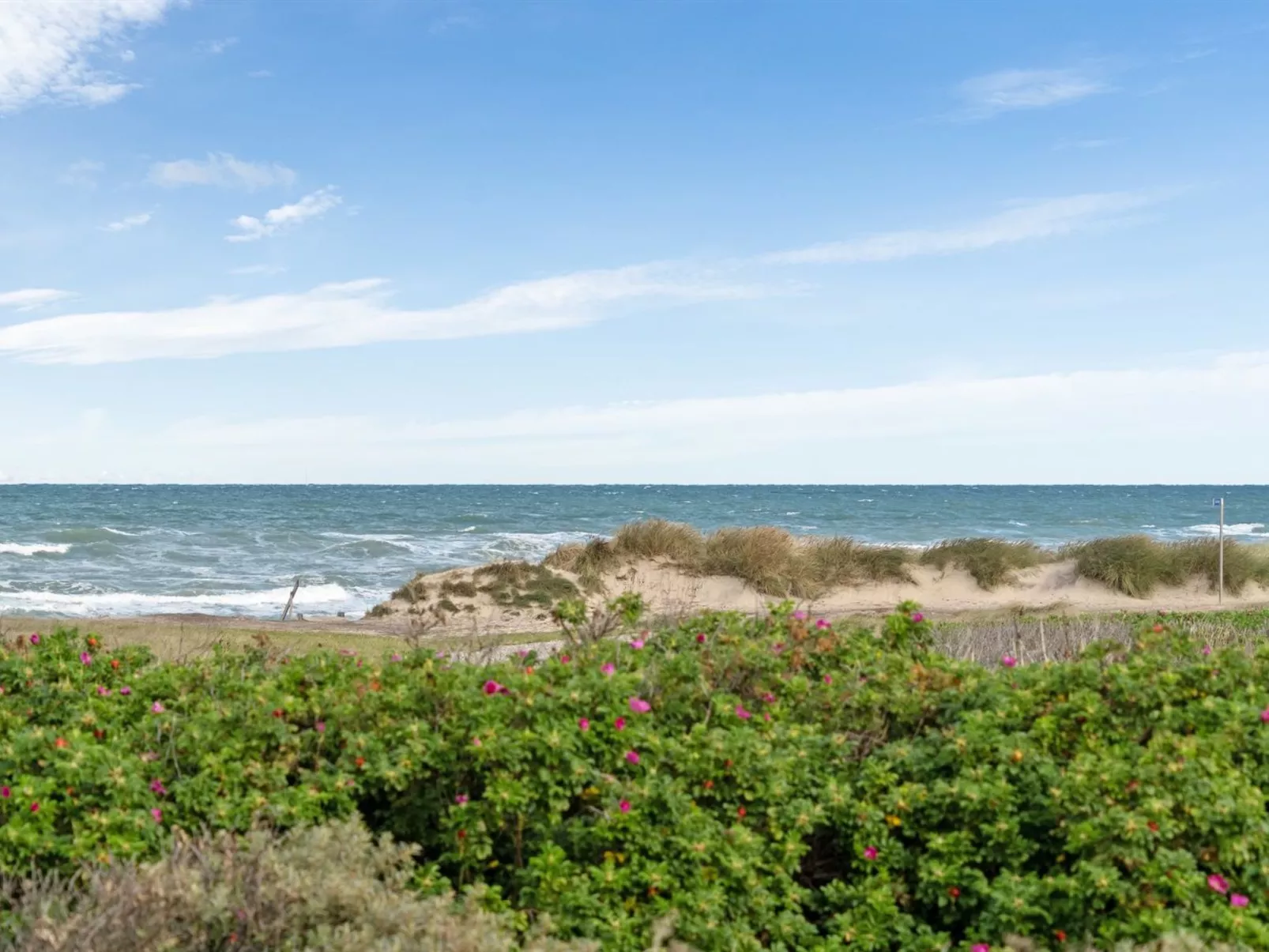 "Miroslava" - 140m from the sea