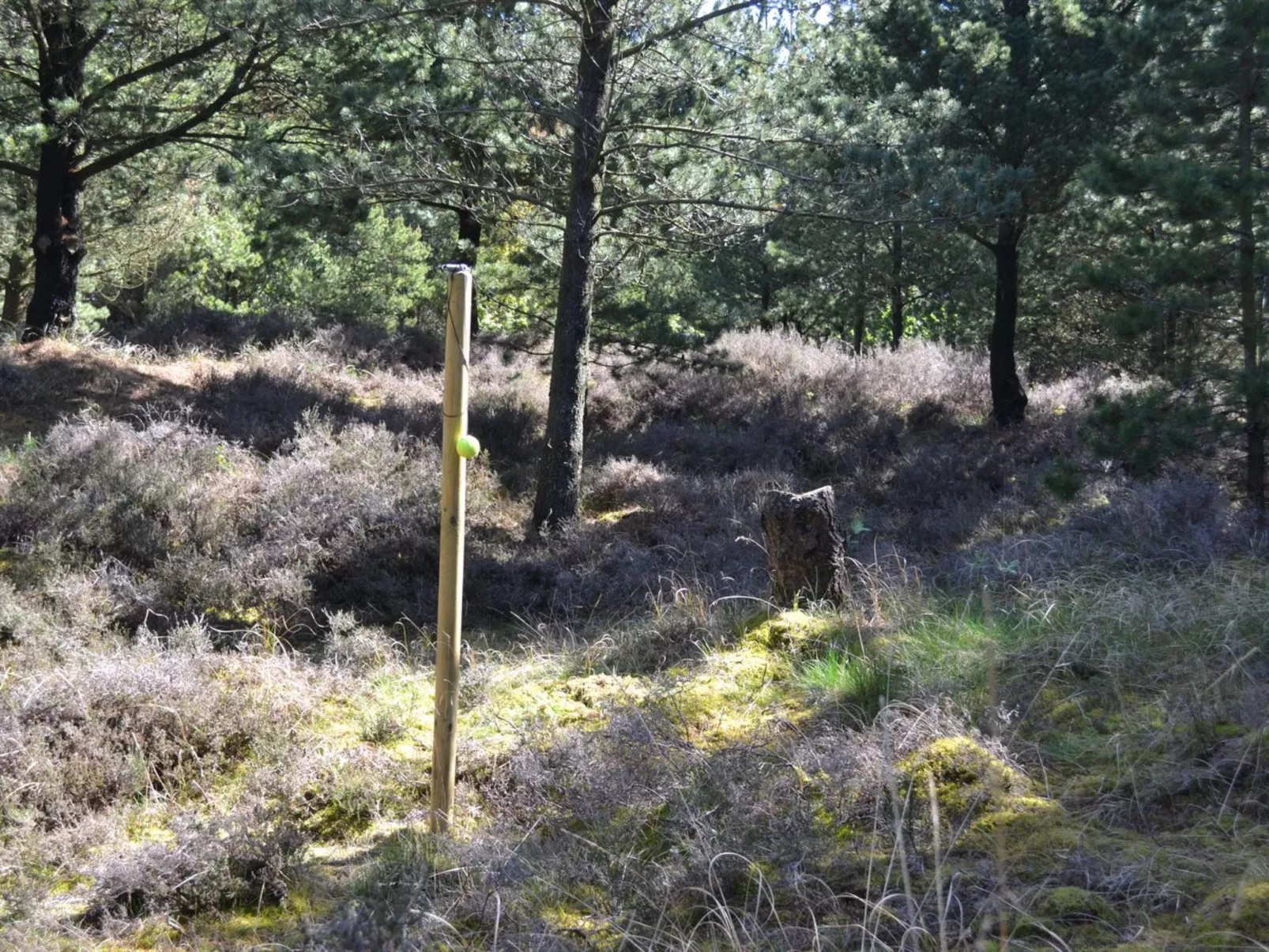 "Angret" - 3.5km from the sea-Buiten