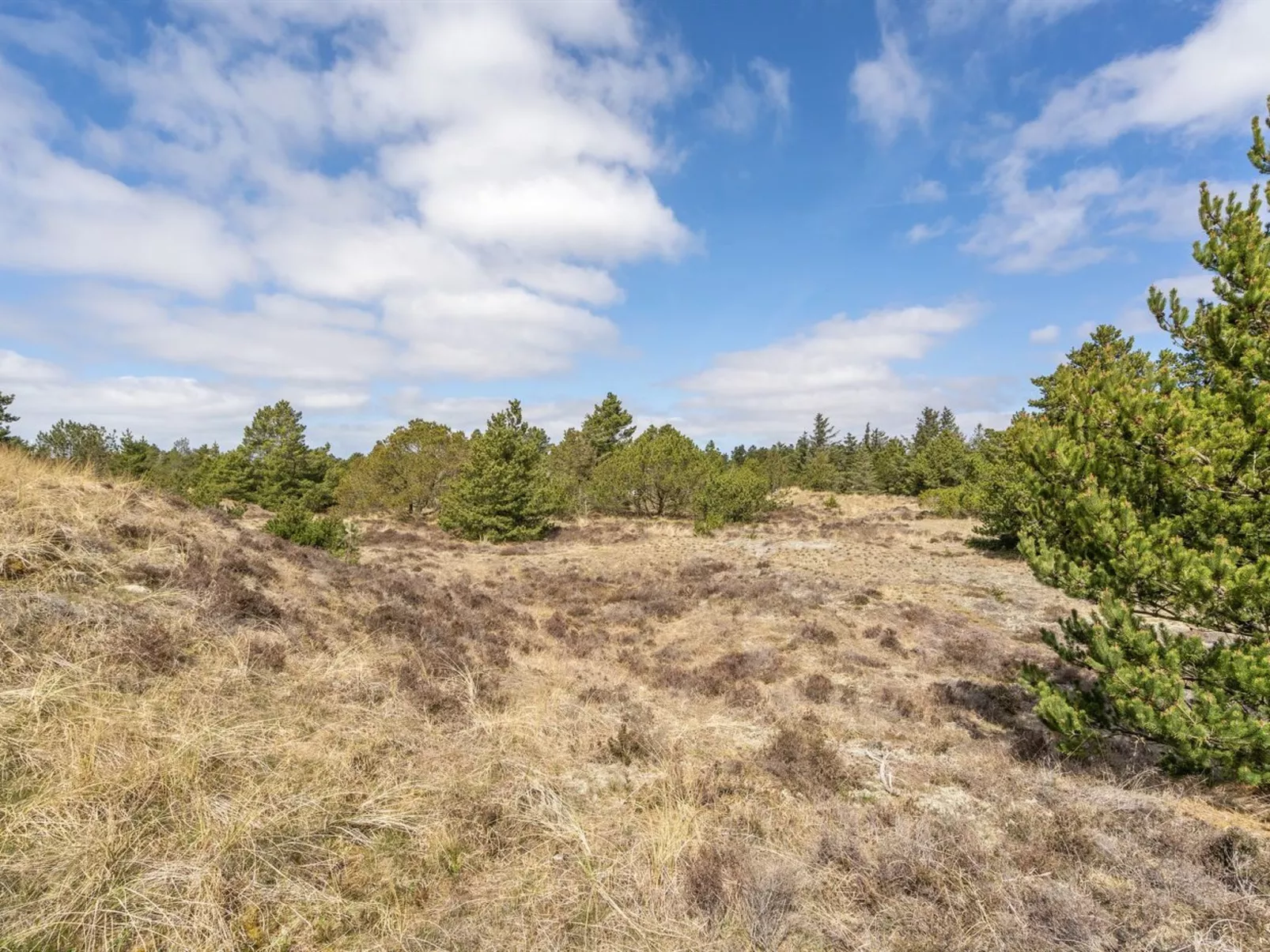 "Absolon" - 1.5km from the sea