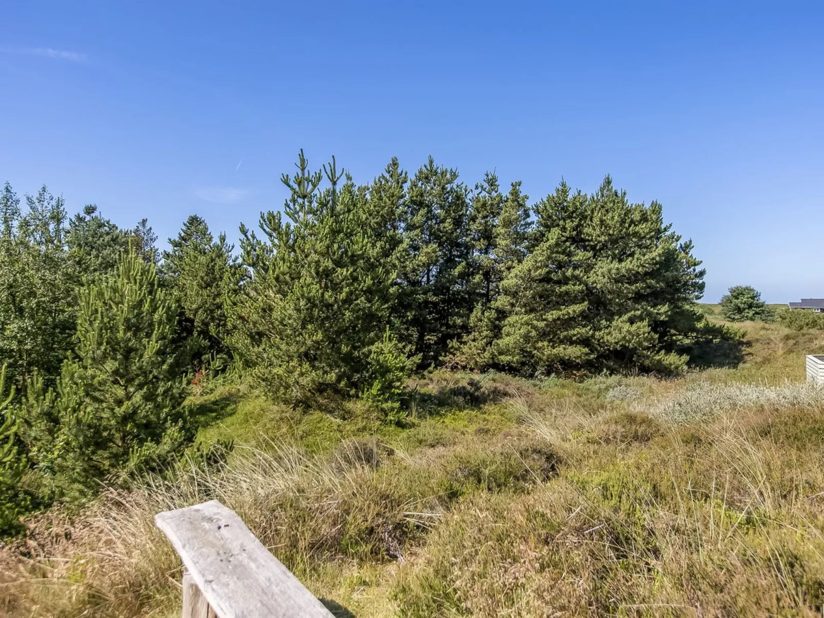 "Bruna" - 2km from the sea