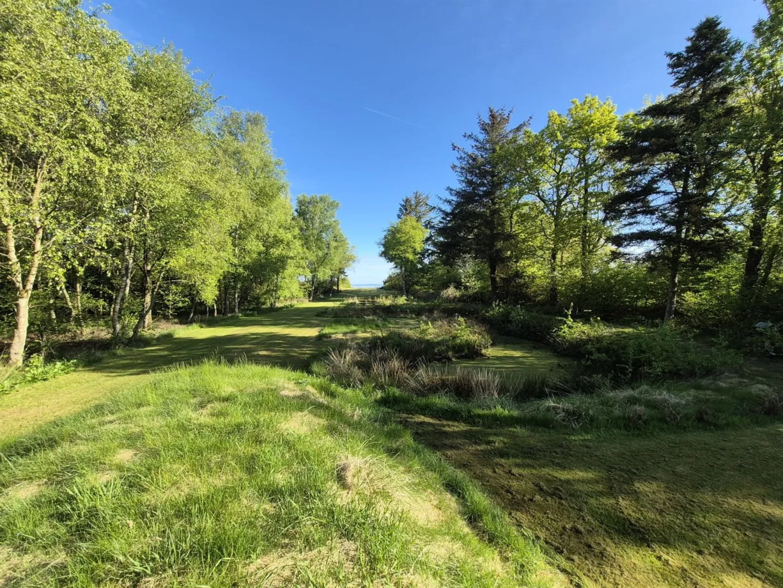 "Aswarth" - 50m to the fjord