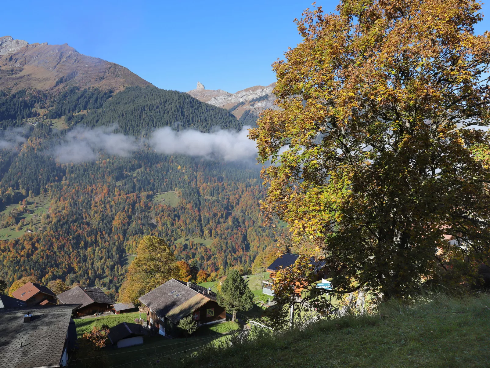 Primula Apt. B-Buiten