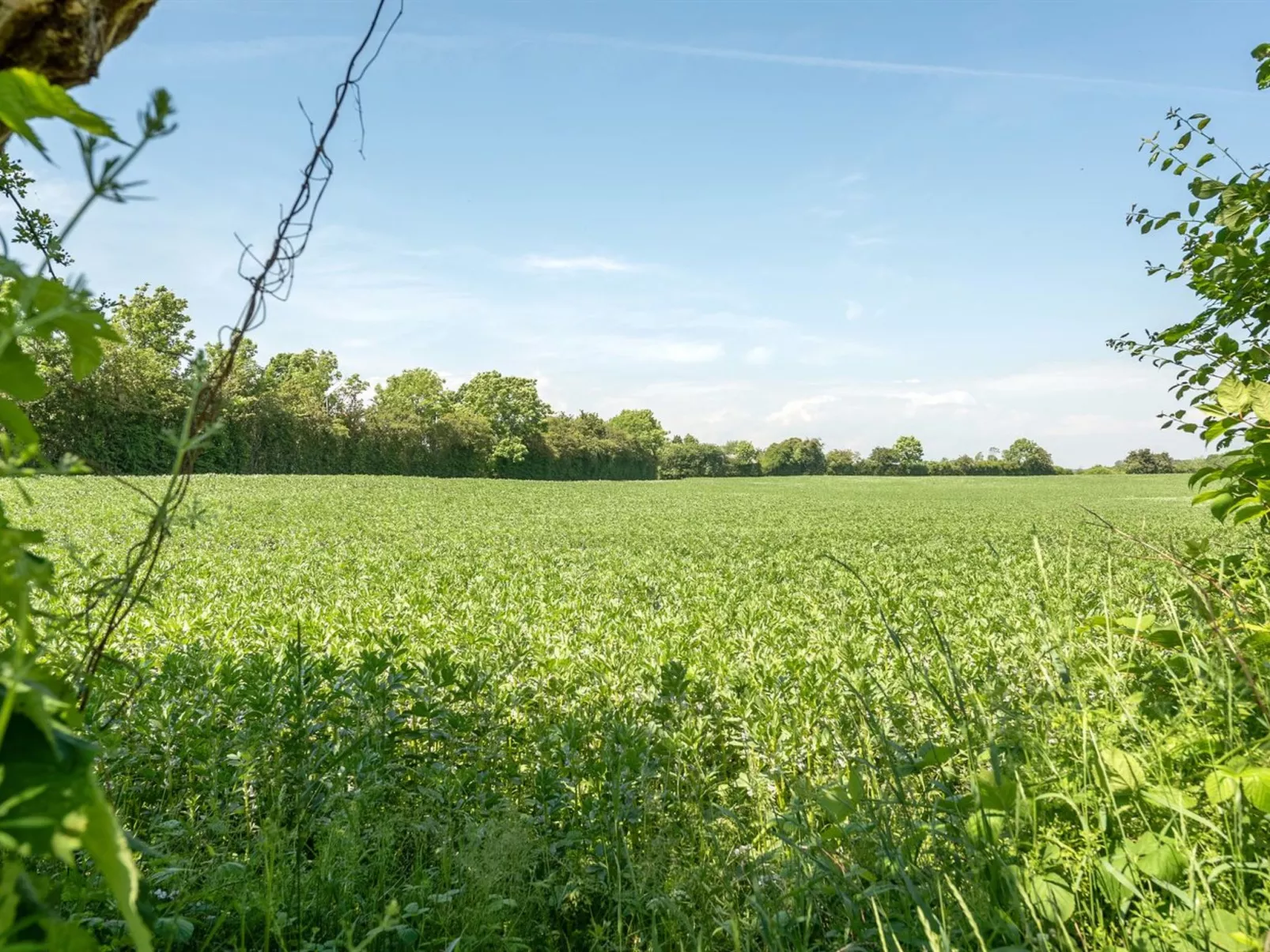 "Ilja" - 400m from the sea-Buiten