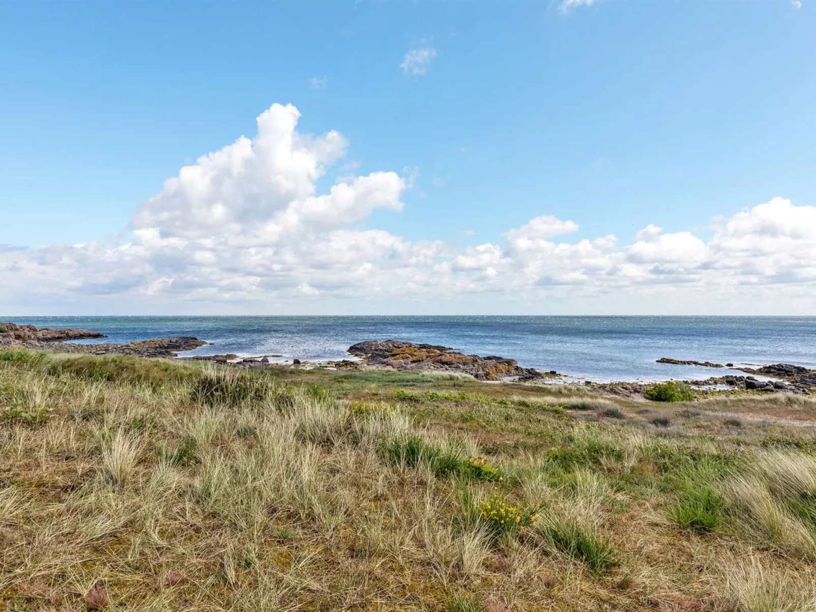 "Alea" - 200m from the sea