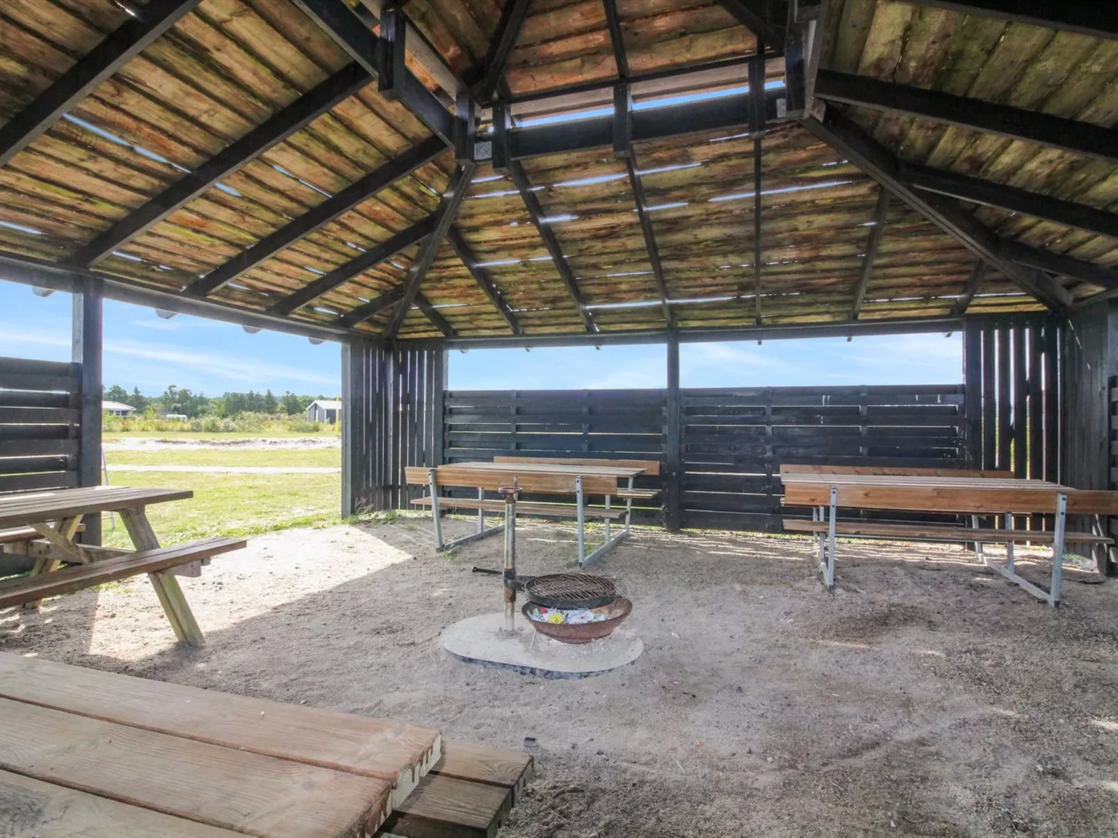 "Richard" - 4km from the sea