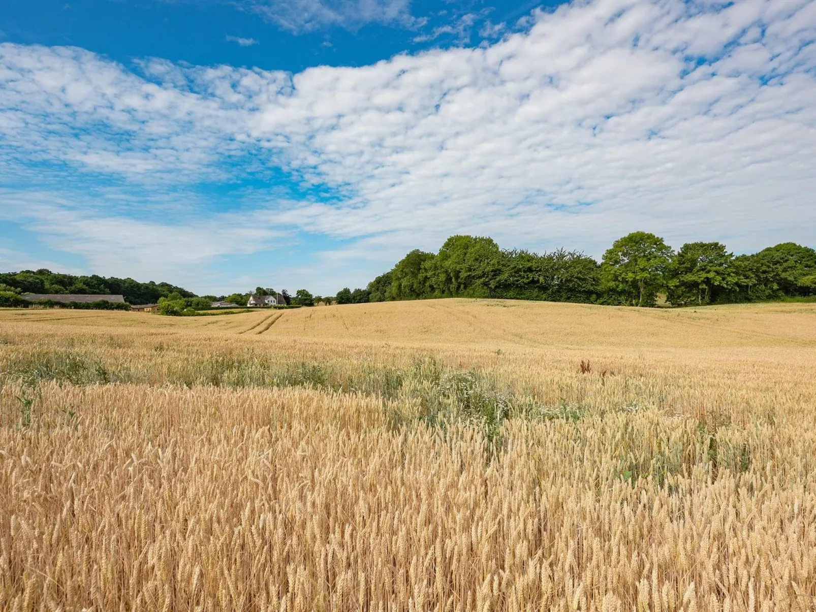 "Edithe" - 250m from the sea