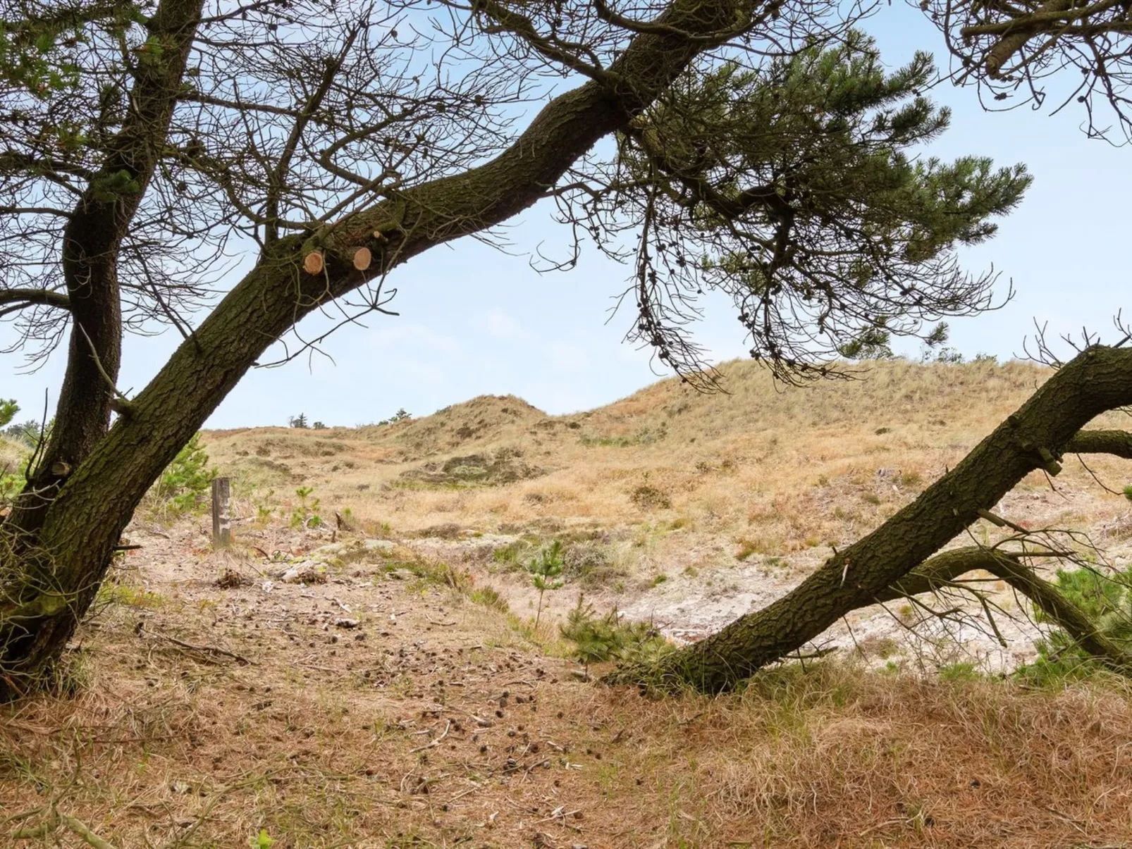 "Atreju" - 2km from the sea