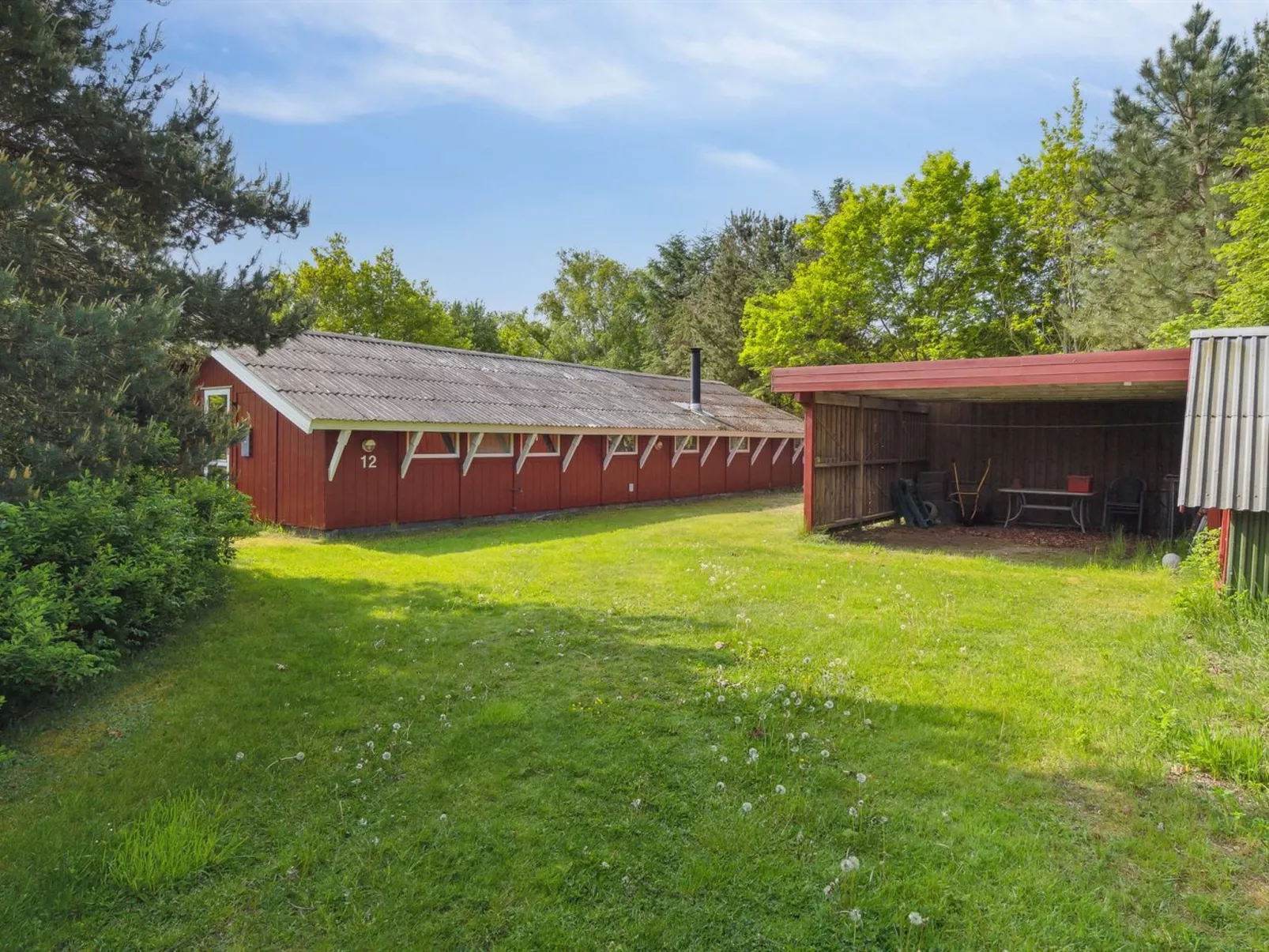 "Feliza" -  from the sea