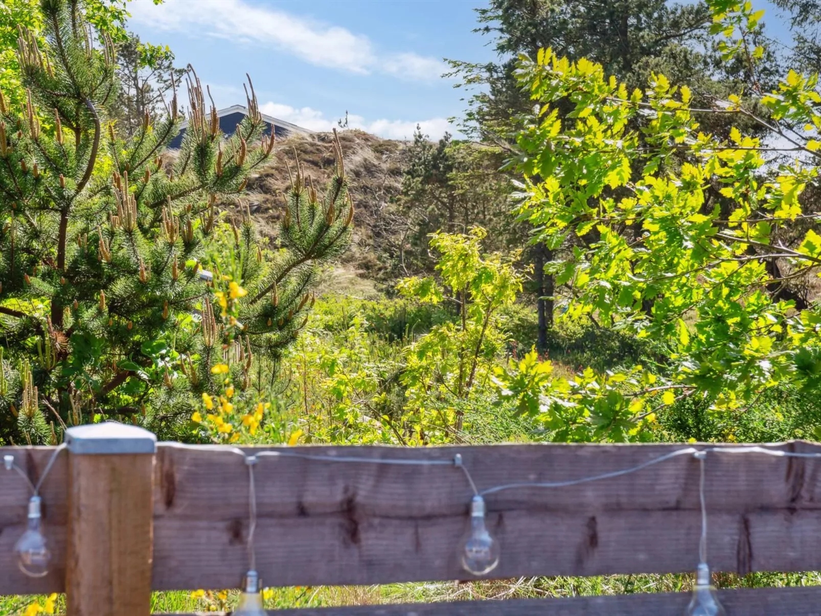 "Resi" - 400m from the sea