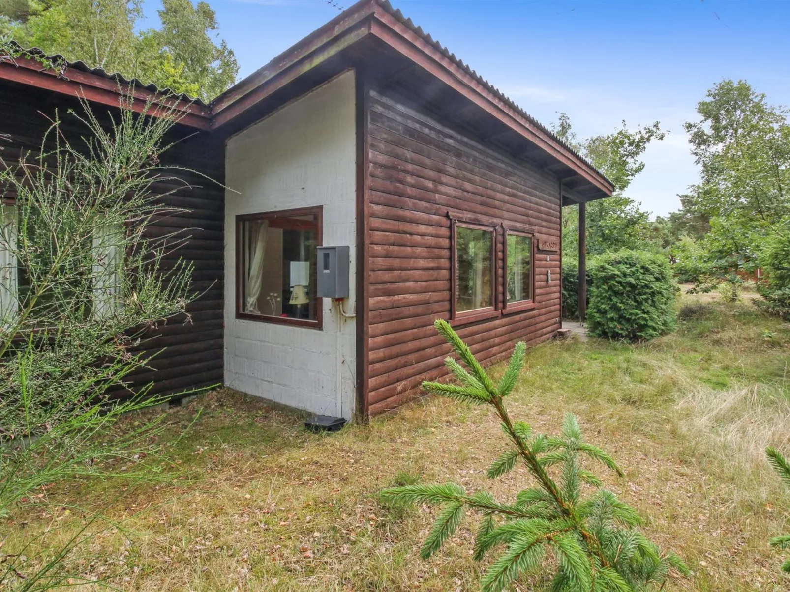 "Farina" - 150m from the sea-Buiten