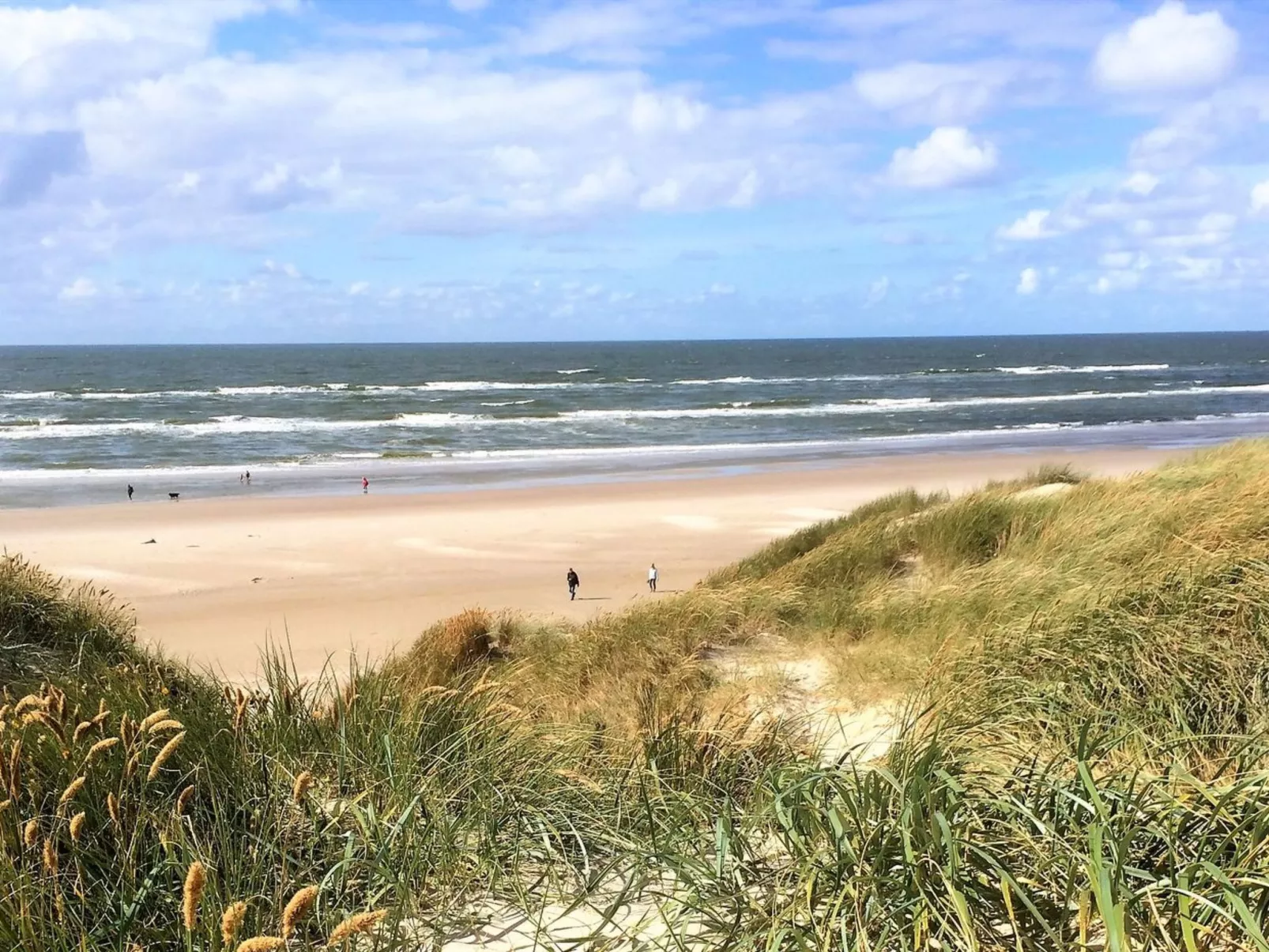 "Elsa" - 700m from the sea