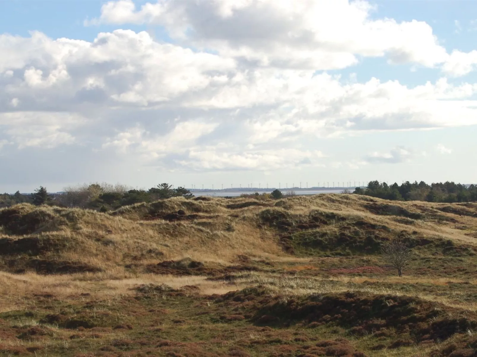 "Inga" - 1.3km from the sea-Buiten