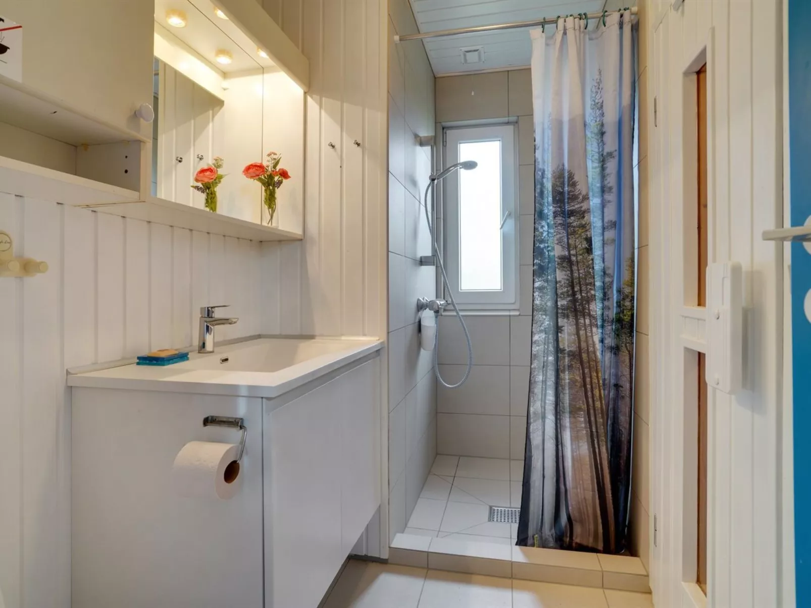 "Dana" - 290m from the sea