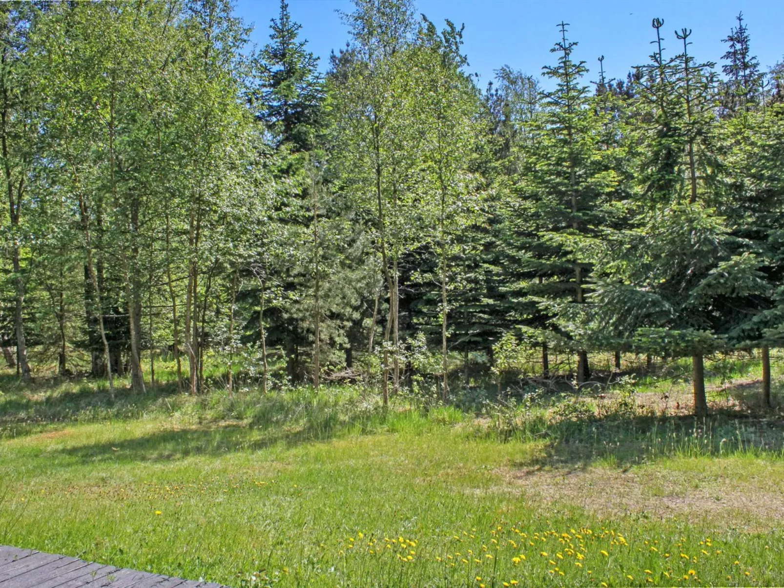 "Gerarda" - 4km from the sea