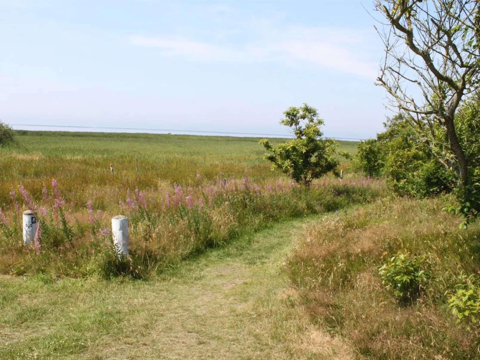 "Pyry" - 400m to the fjord