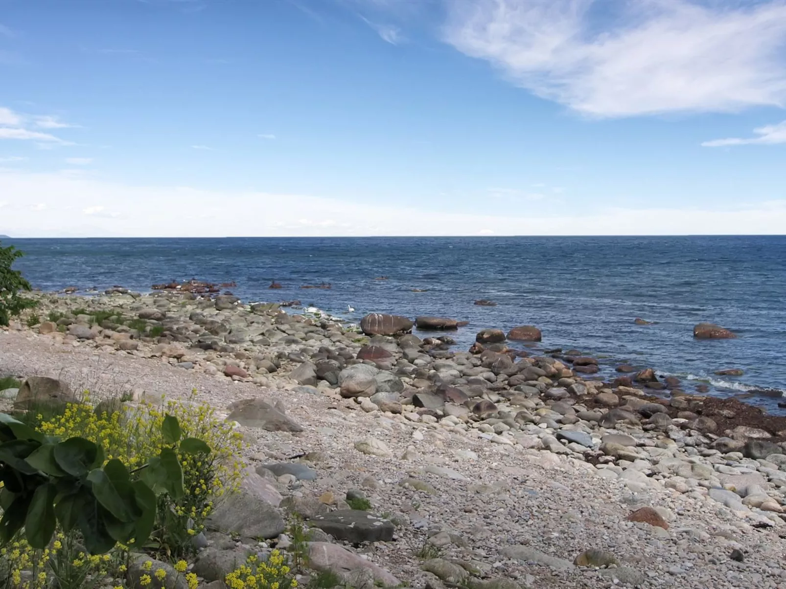 "Alfred" - 25m from the sea