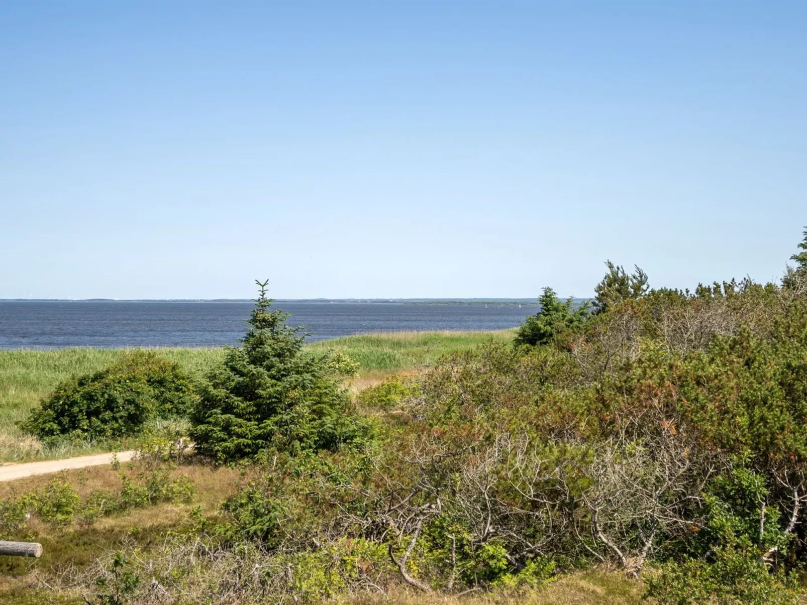 "Ingeborg" - 100m to the fjord