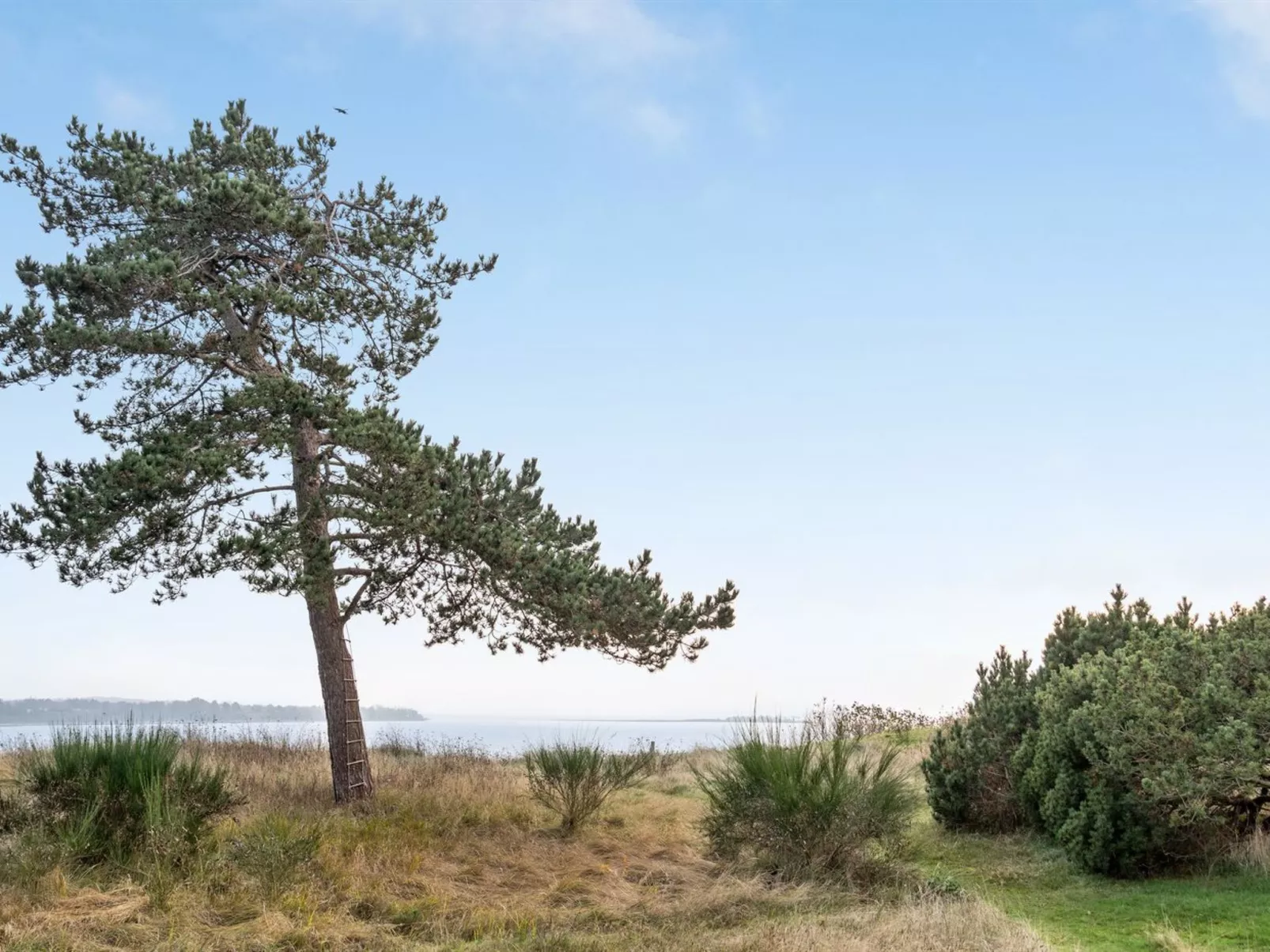 "Bosilka" - 75m from the sea