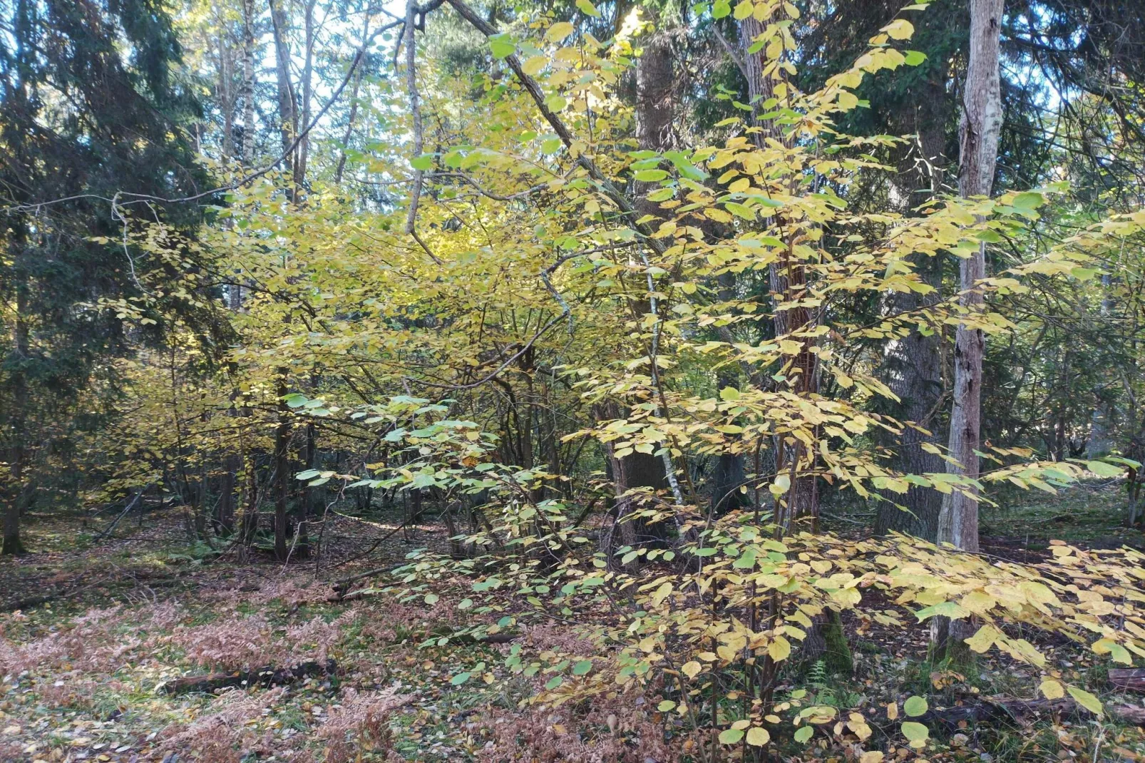 4 persoons vakantie huis in HUDDINGE-By Traum-Niet-getagd