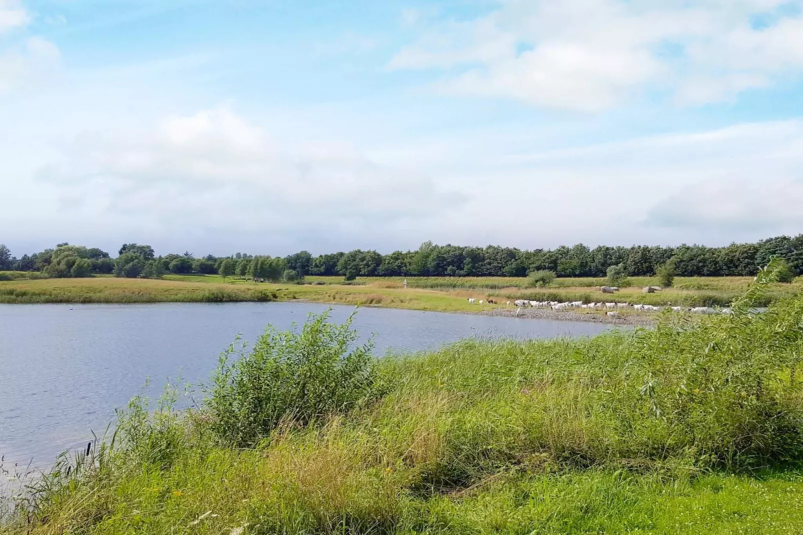 Zeezaligheid in Nysted -- By Traum Ferienwohnungen-Waterzicht