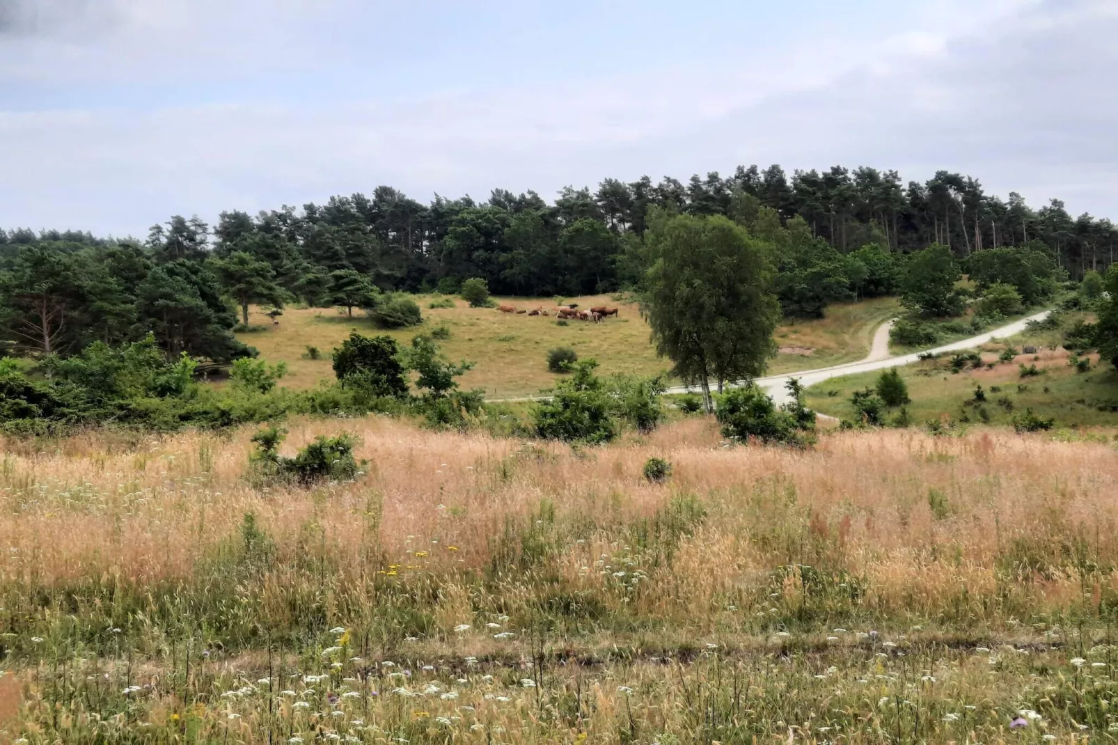 6 persoons vakantie huis in Knebel-By Traum-Niet-getagd