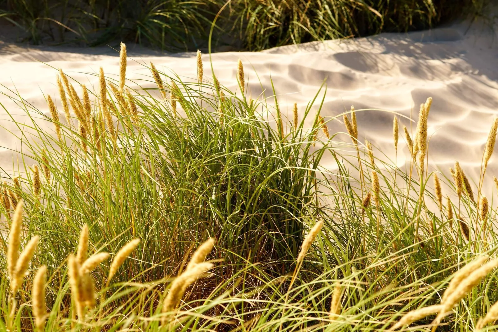 8 persoons vakantie huis in Fjerritslev-By Traum-Niet-getagd