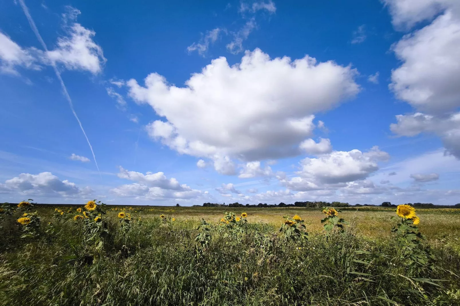 5 sterren vakantie huis in Sydals-By Traum-Niet-getagd