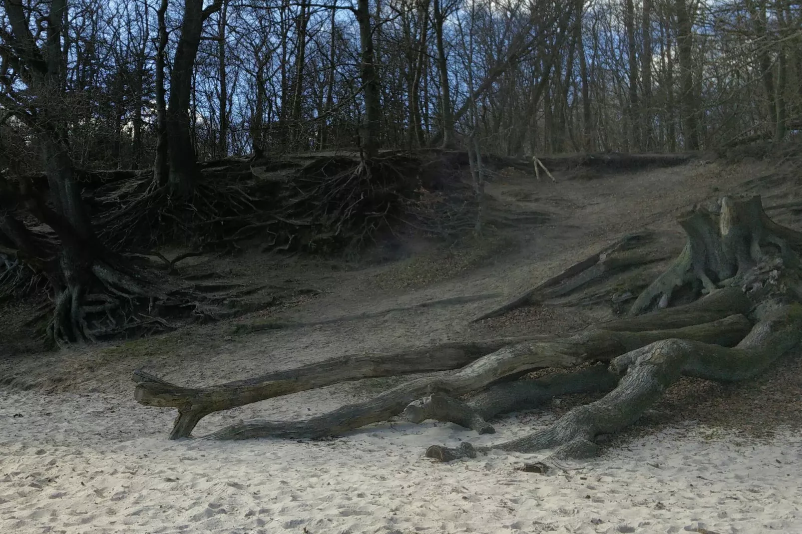 8 persoons vakantie huis in Aabenraa-By Traum