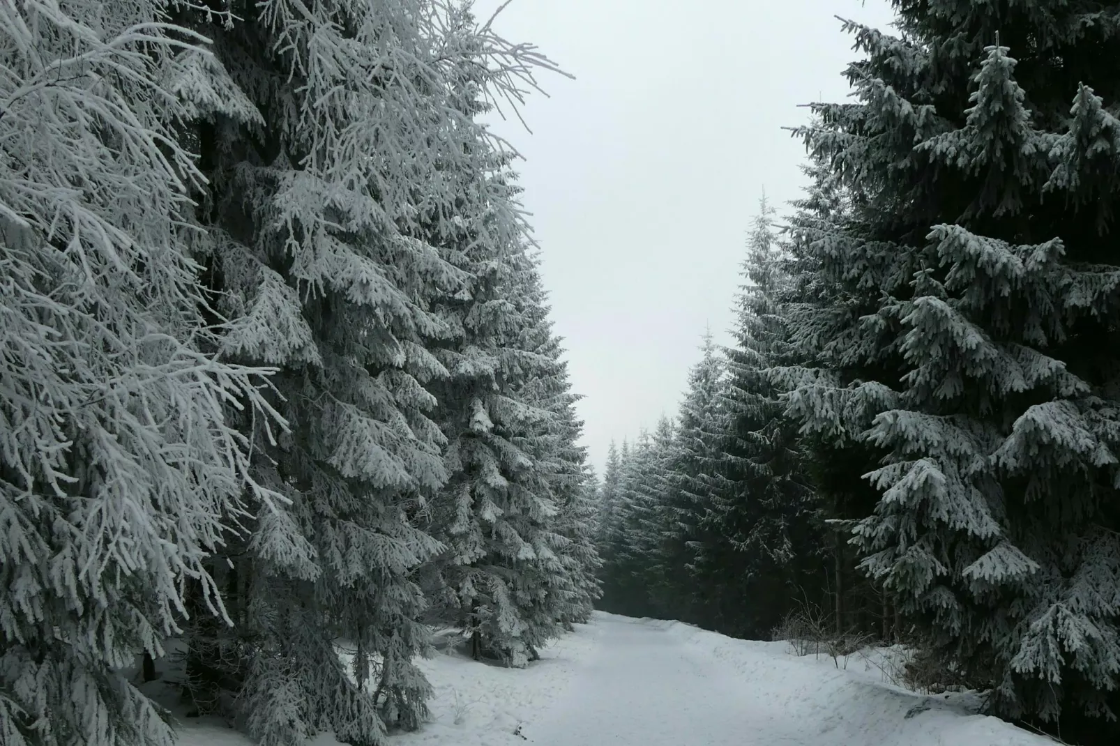 Studio Am Waltenberg 57-S-Gebied winter 1km