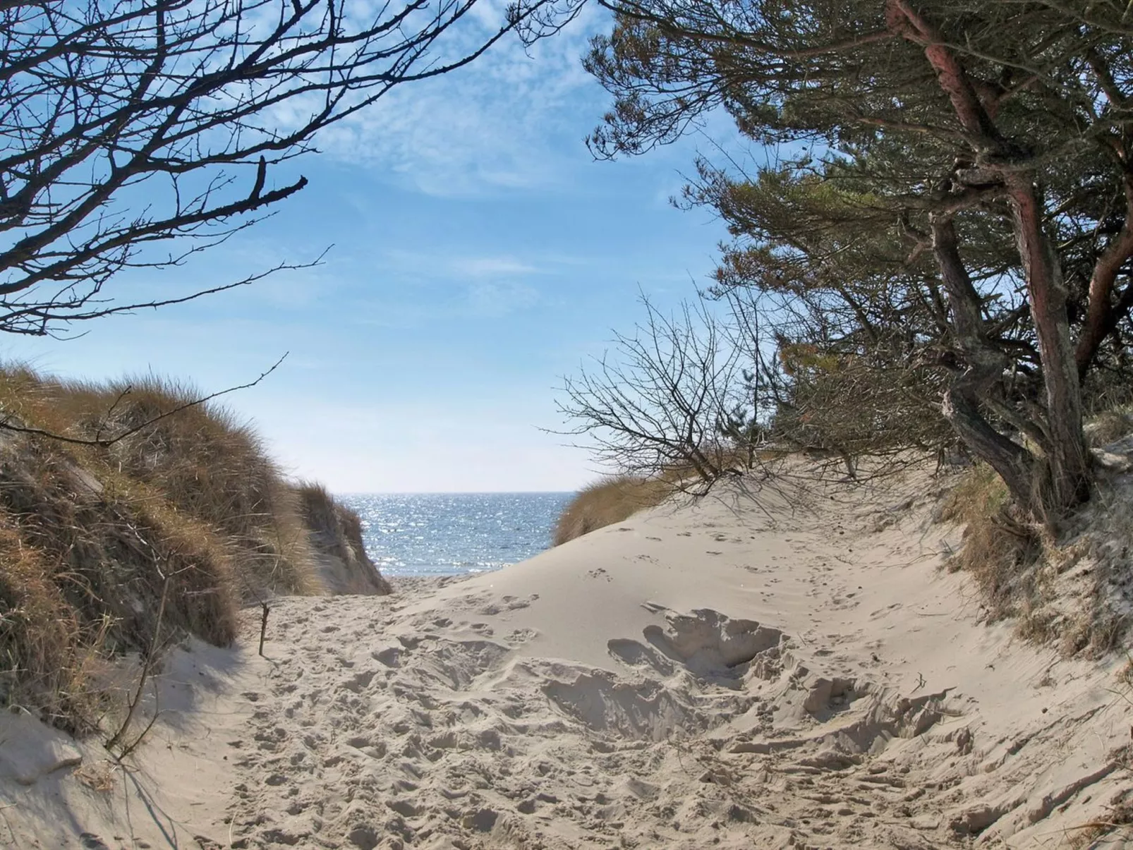 "Olla" - 400m from the sea