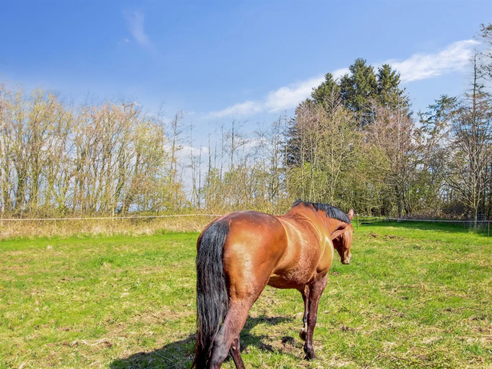 "Thana" - 8km from the sea