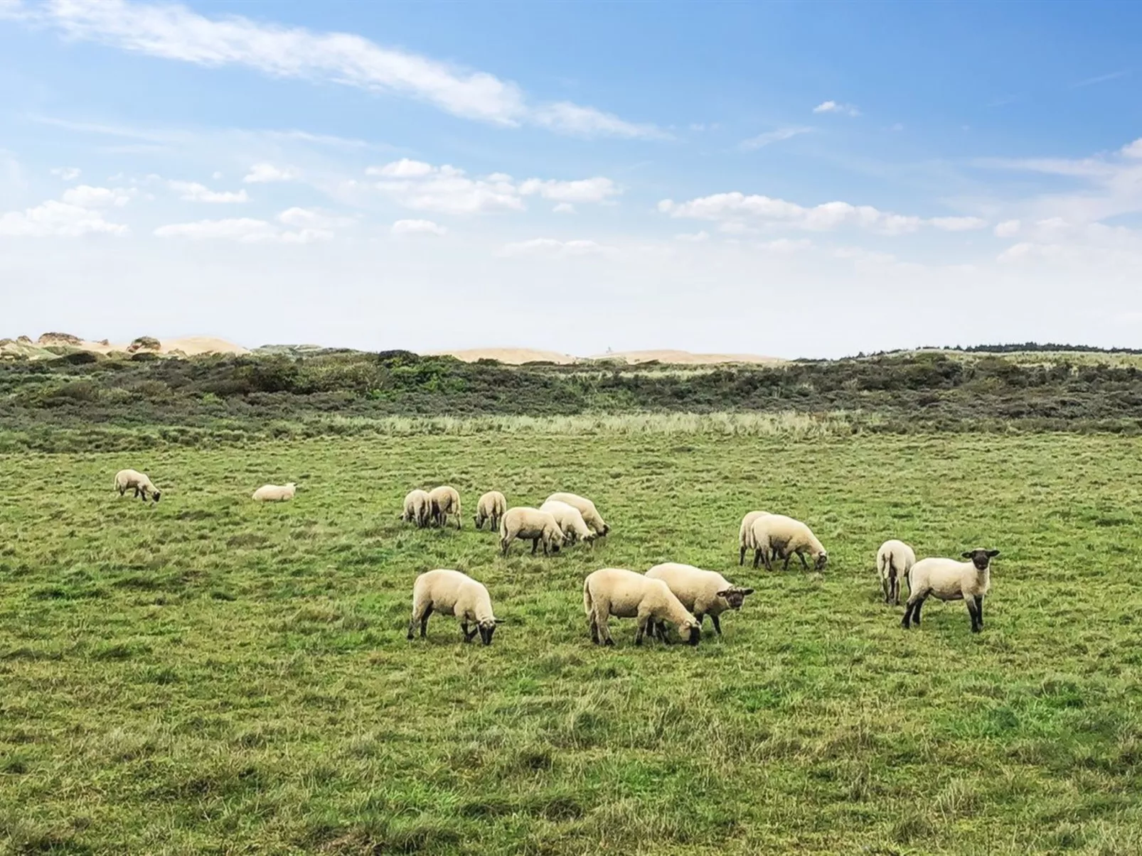 "Skyler" - 400m from the sea