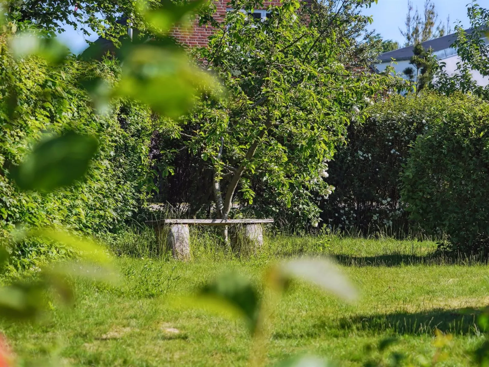 "Bartha" - 3km from the sea