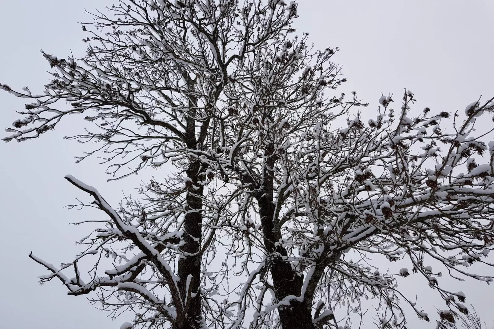4 sterren vakantie huis in SÖDERALA-By Traum-Niet-getagd