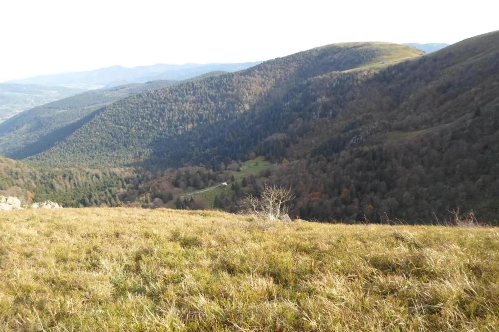 Domaine Des Messires 2-Gebieden zomer 1km