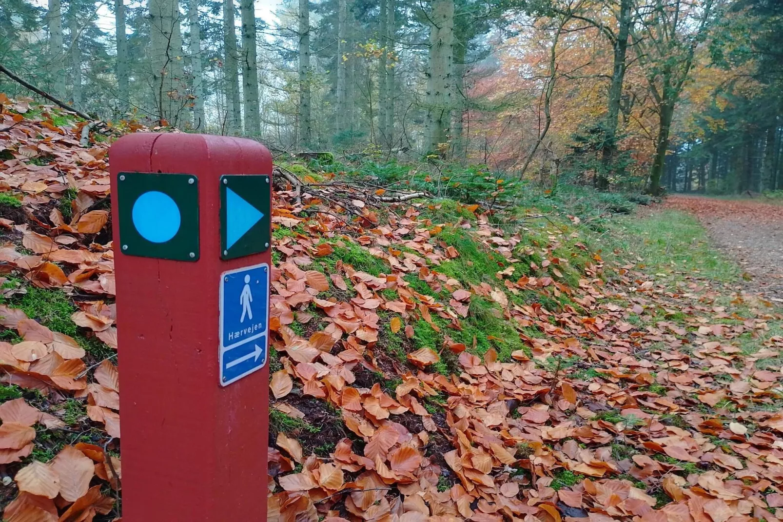 7 persoons vakantie huis in Fjerritslev-By Traum-Niet-getagd