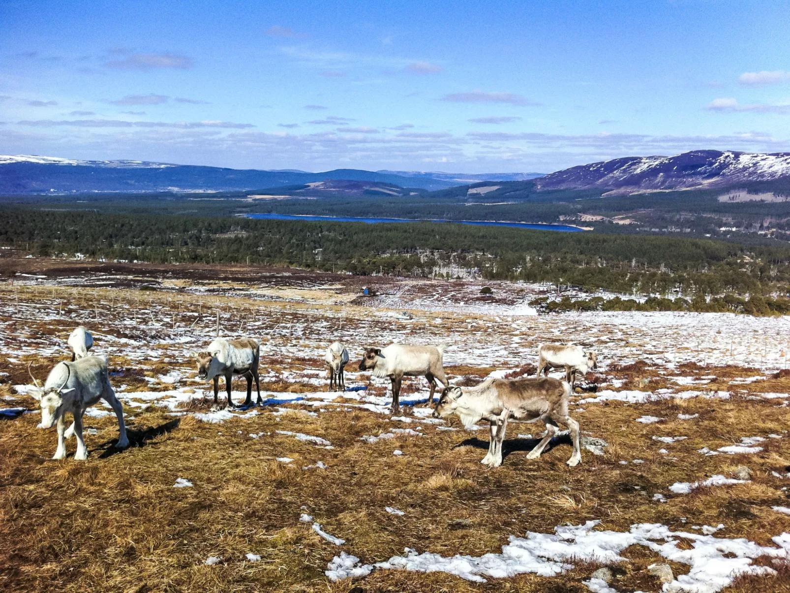 Falcon Lodge-Omgeving