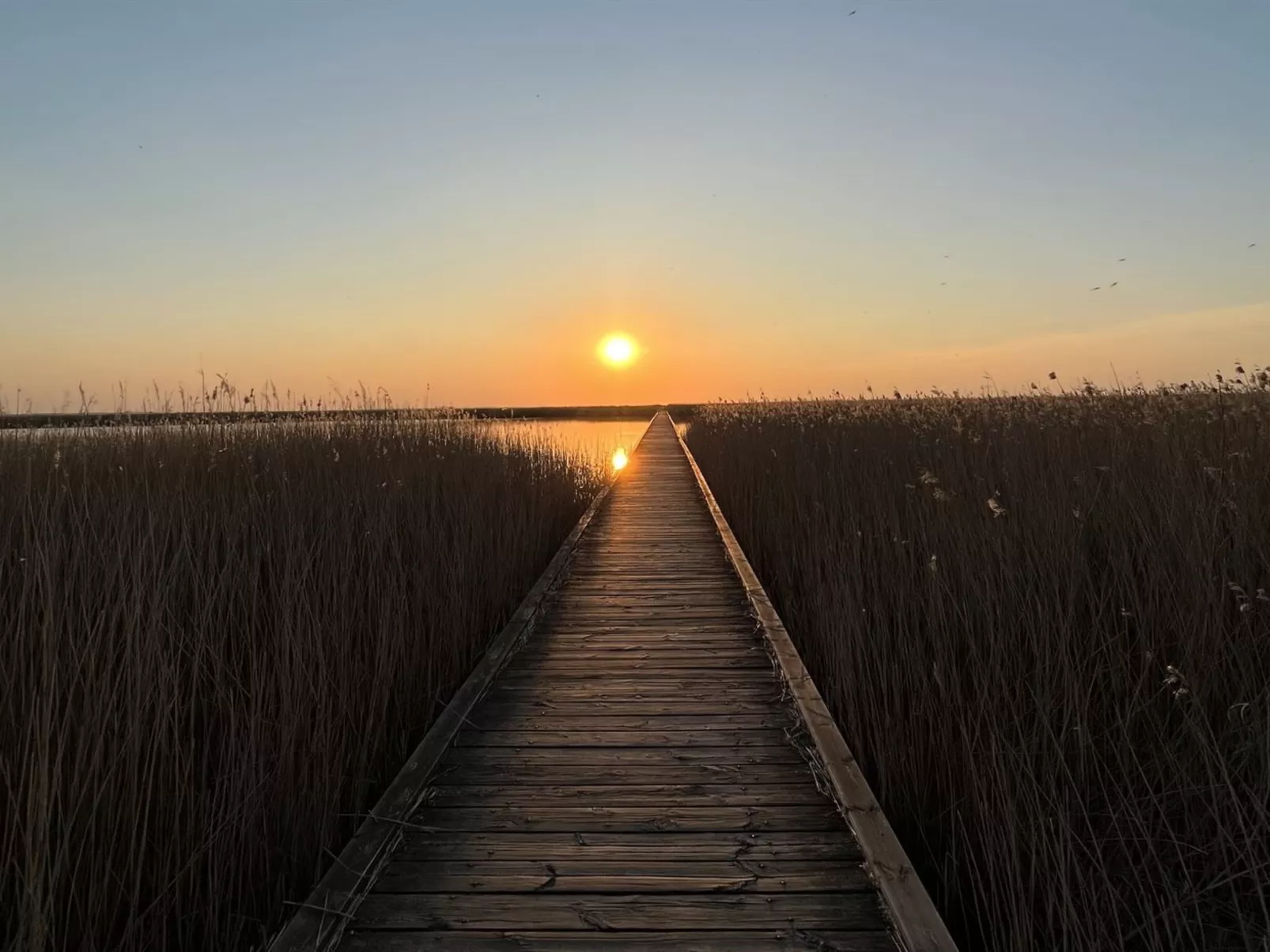 "Ela" - 800m from the sea