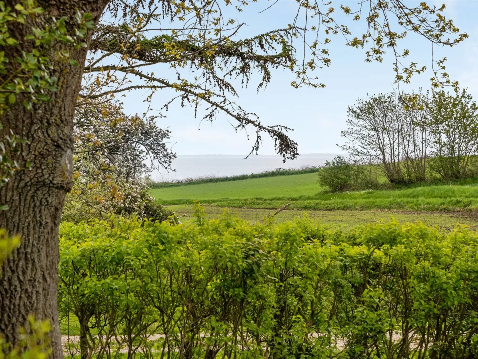 "Venla" - 150m from the sea