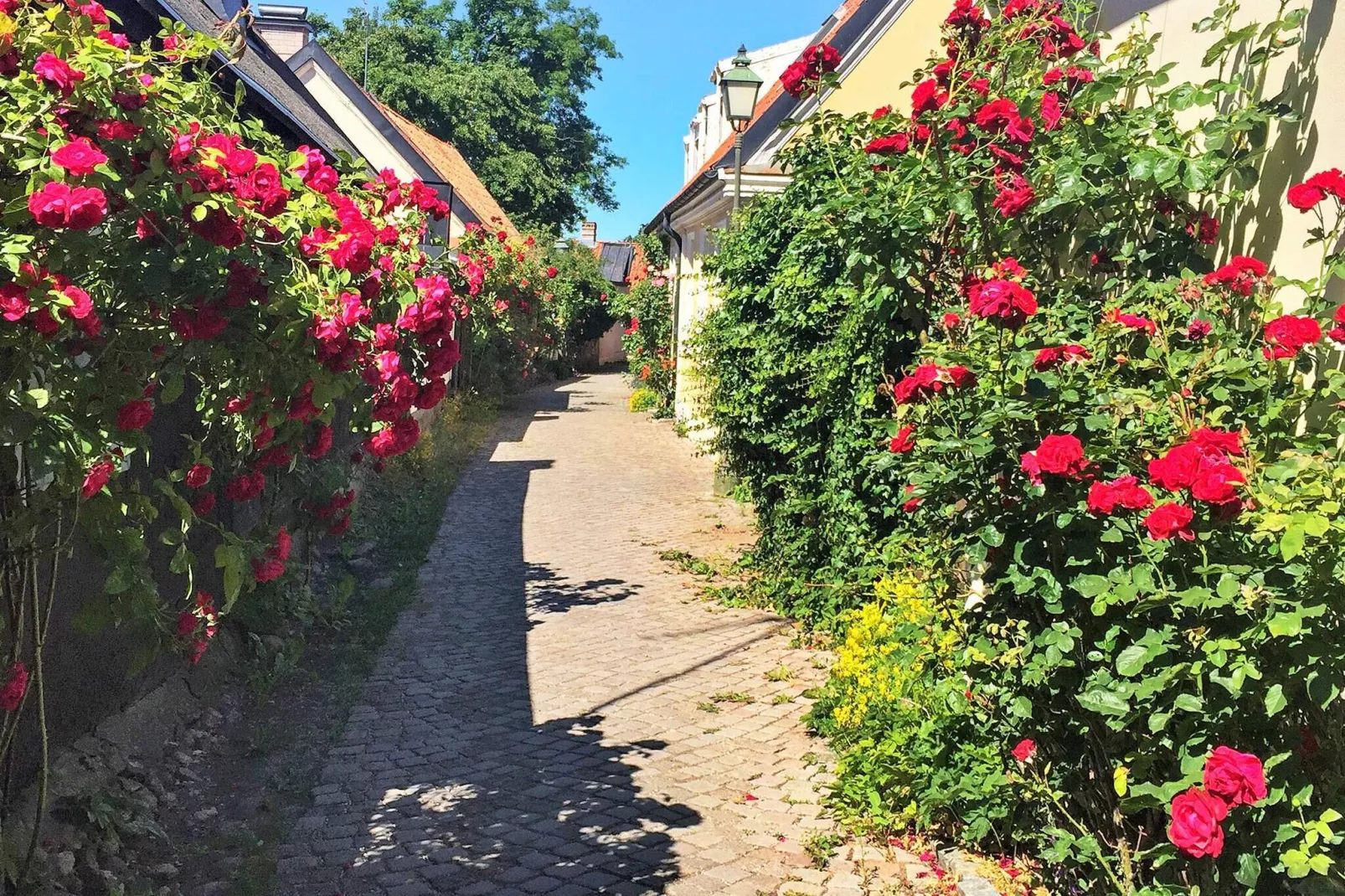 5 persoons vakantie huis in VISBY-By Traum-Niet-getagd