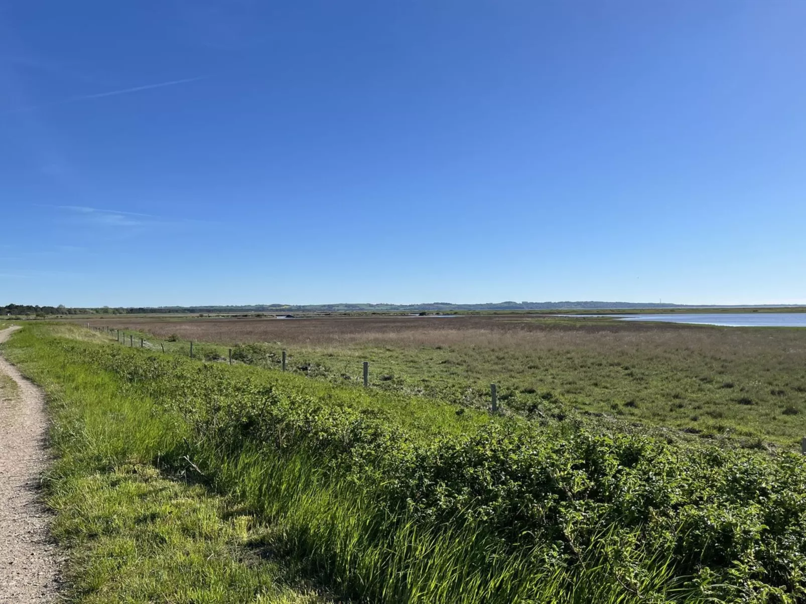 "Felis" - 575m from the sea