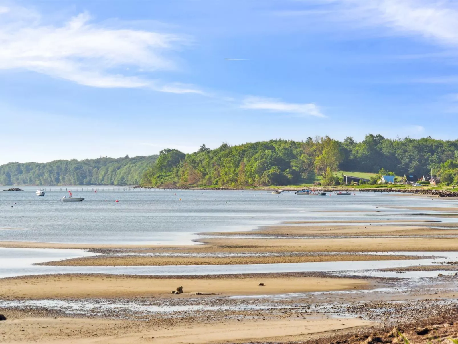 "Anselmi" - 25m from the sea