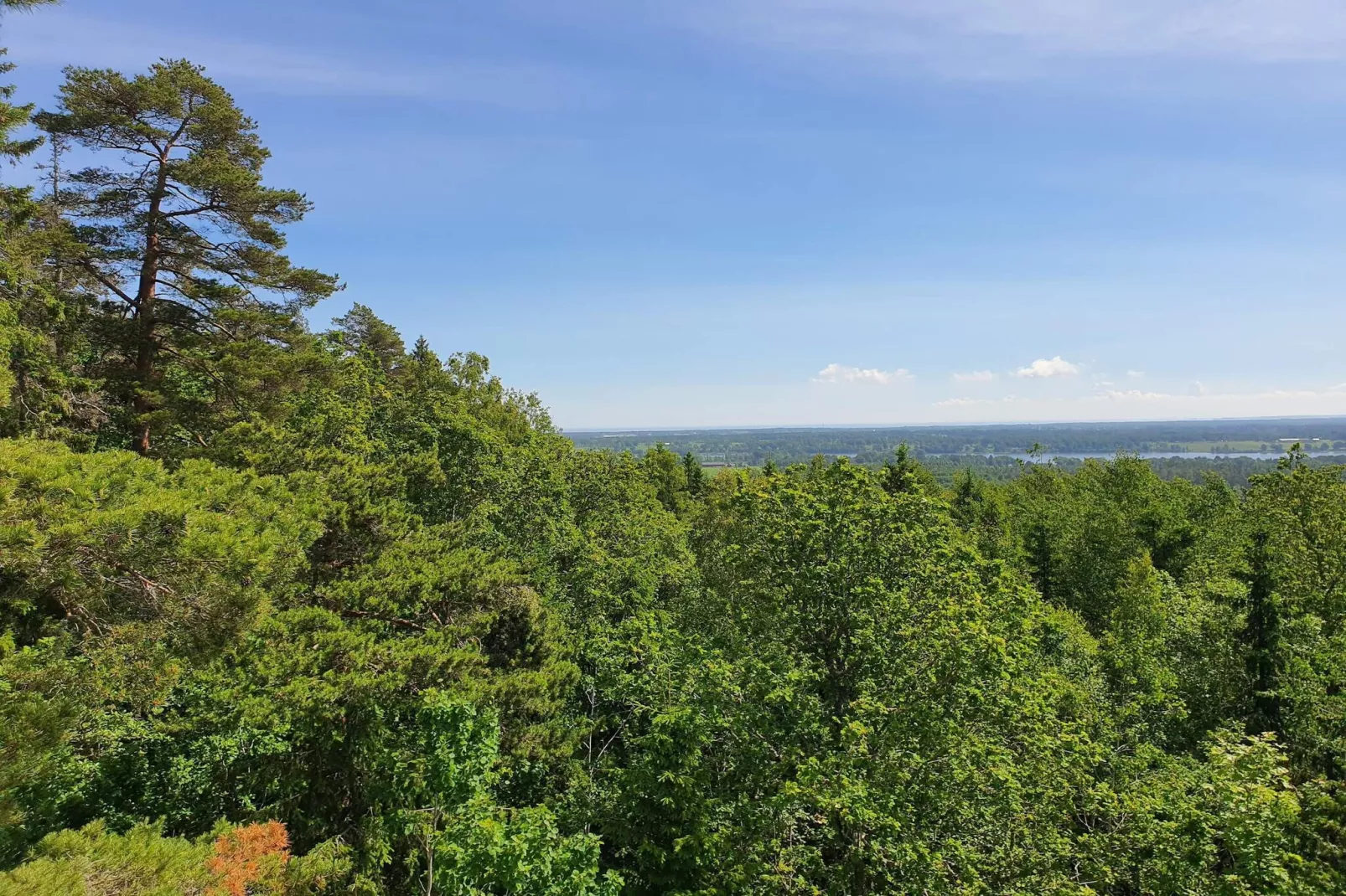 4 persoons vakantie huis in DALS ROSTOCK-Niet-getagd